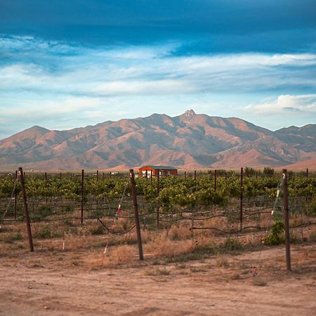 Casa Barbera At Tirrito Farm Villa Willcox Eksteriør billede